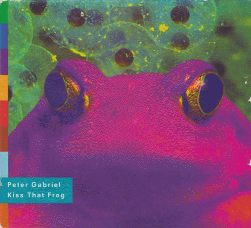 Peter Gabriel : Kiss That Frog